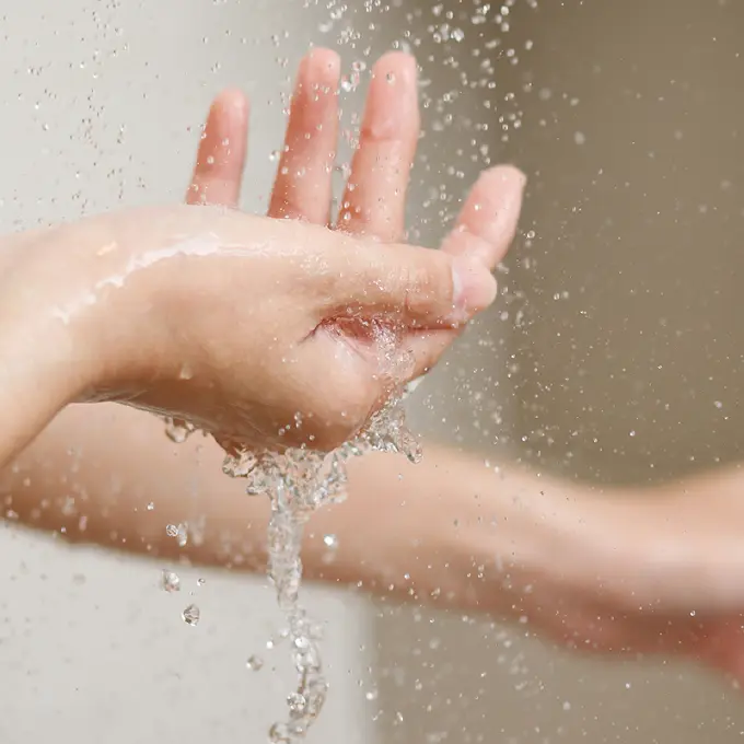shower head